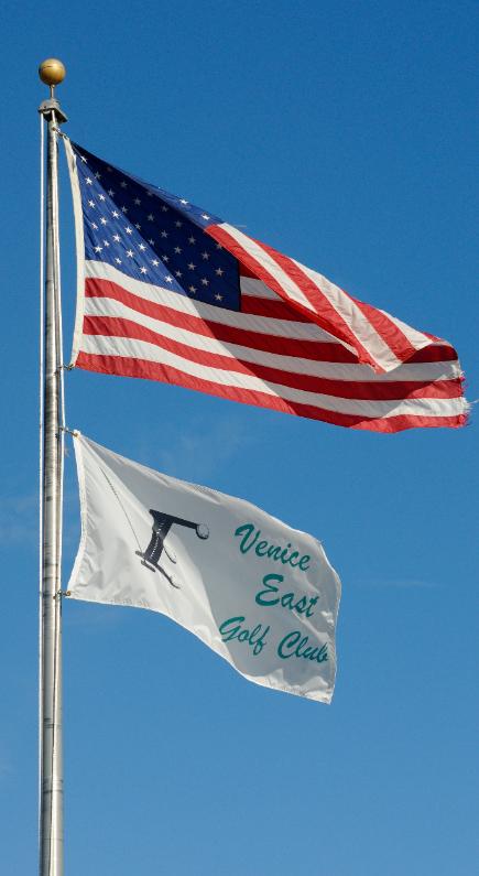 US & VEGA Flags
